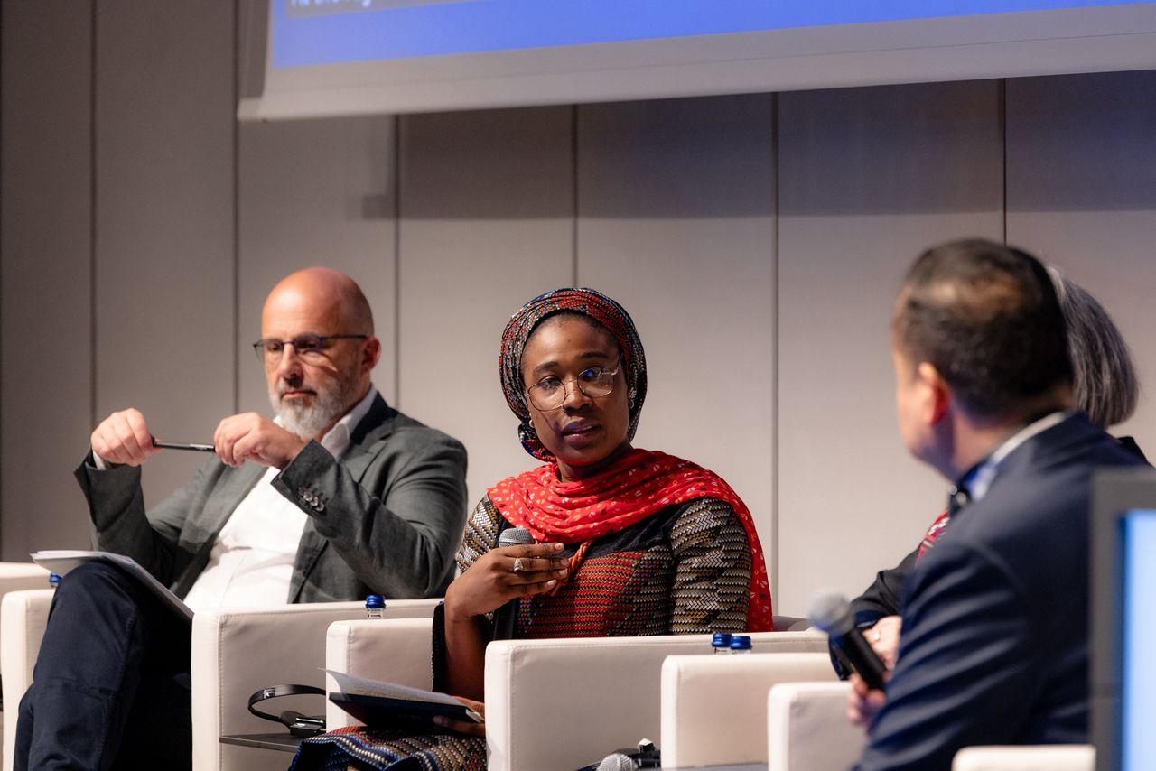 Panel speaker, Global Platform for DRR